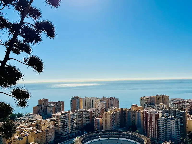 Servicio de desokupación express en Málaga